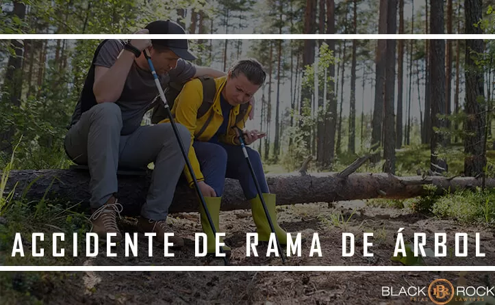 Lesiones por accidentes de rama de arbol